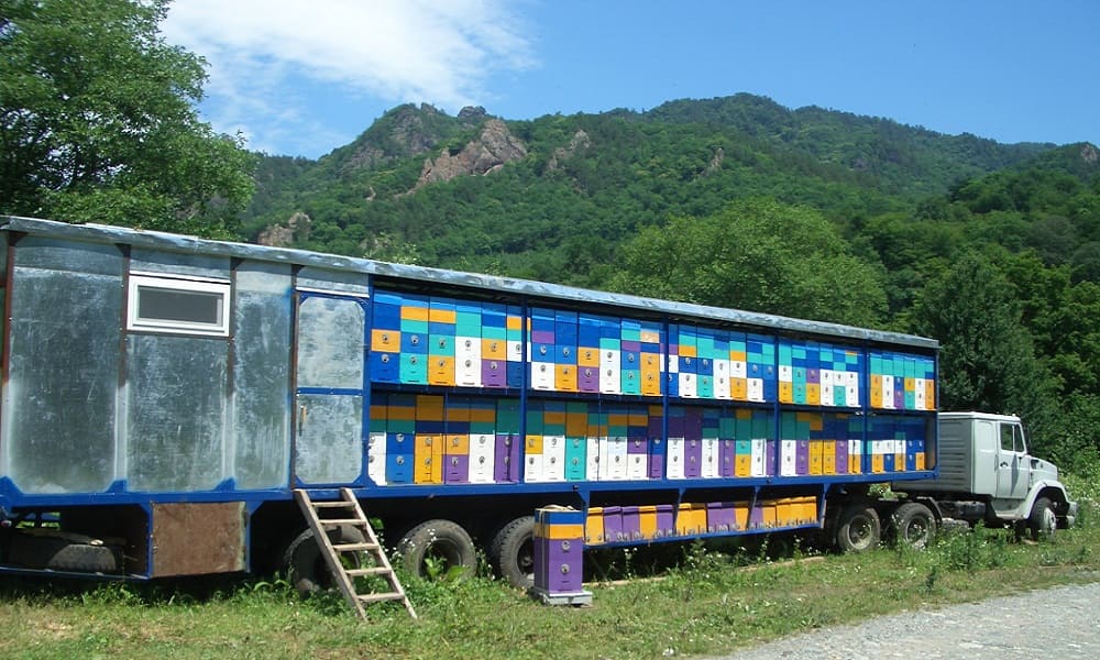 Мобільна пасіка