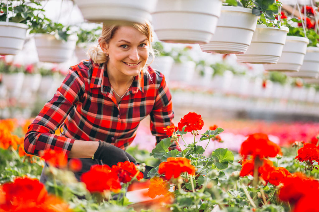 вирощування квітів на продаж
